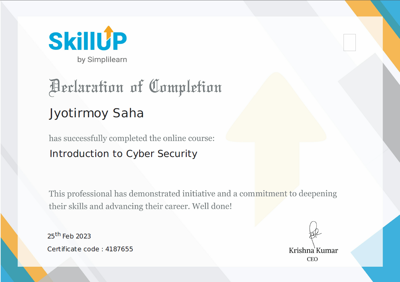 Introduction to Cybersecurity